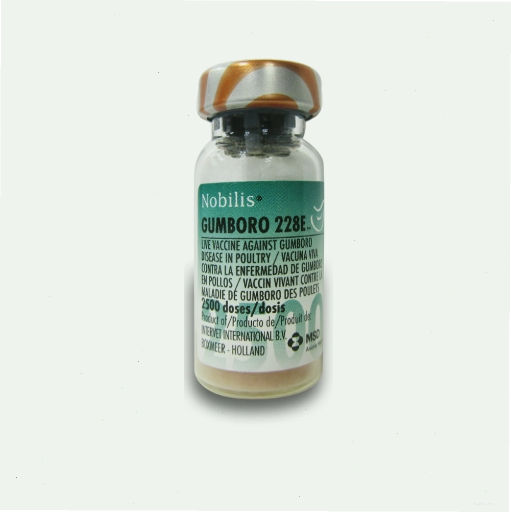 Sản phẩm vắc xin 228E hỗ trợ phòng bệnh Gumboro