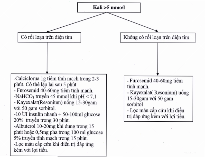 Sơ đồ hướng dẫn các bước xử trí y tế khi phát hiện tăng kali máu