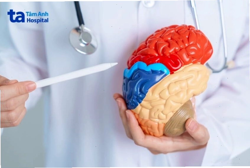 Sơ đồ minh họa nguyên nhân gây bệnh Parkinson