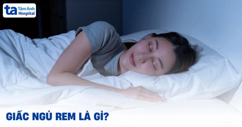 Sơ đồ mô phỏng giấc ngủ REM và chu kỳ ngủ của con người