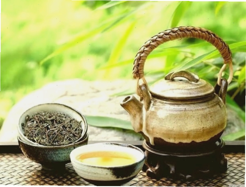 Sử dụng dược liệu thiên nhiên