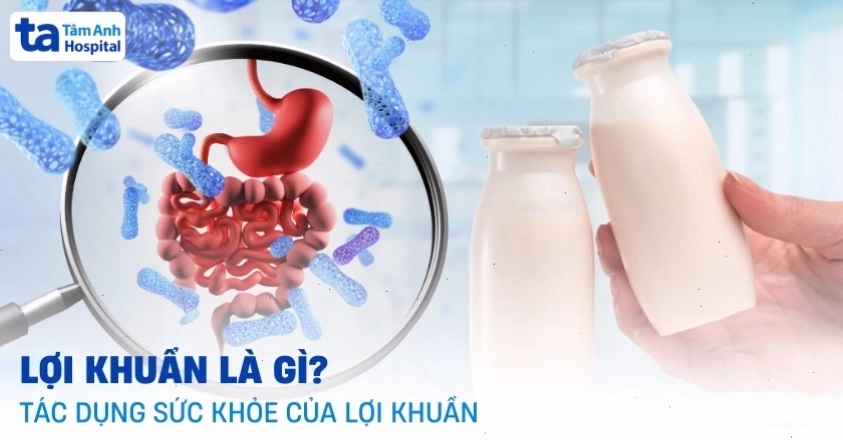 Sử dụng lợi khuẩn để tăng cường sức đề kháng cơ thể