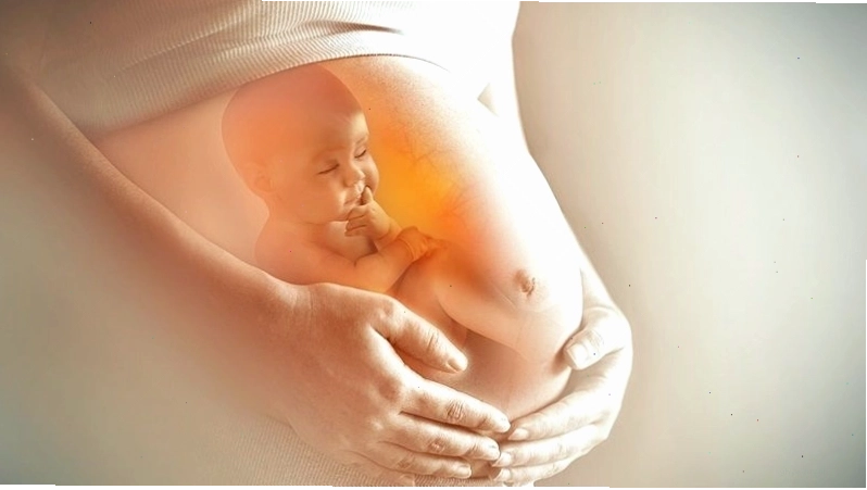 Sự lây truyền bệnh giang mai từ mẹ sang thai nhi