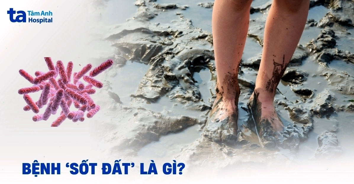 Sức khỏe mùa sốt