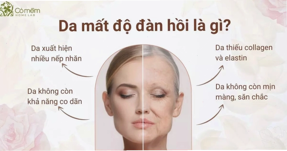 Tác động của môi trường lên độ đàn hồi của da
