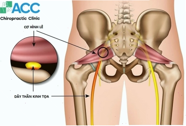 Thăm khám sức khỏe