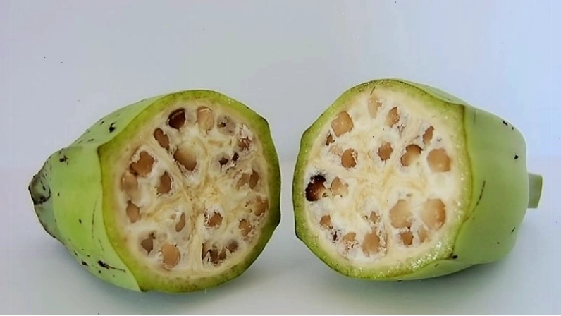 Thành phần dinh dưỡng trong chuối hột