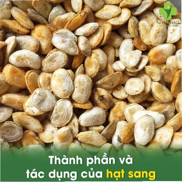 Thành phần và tác dụng của hạt sang