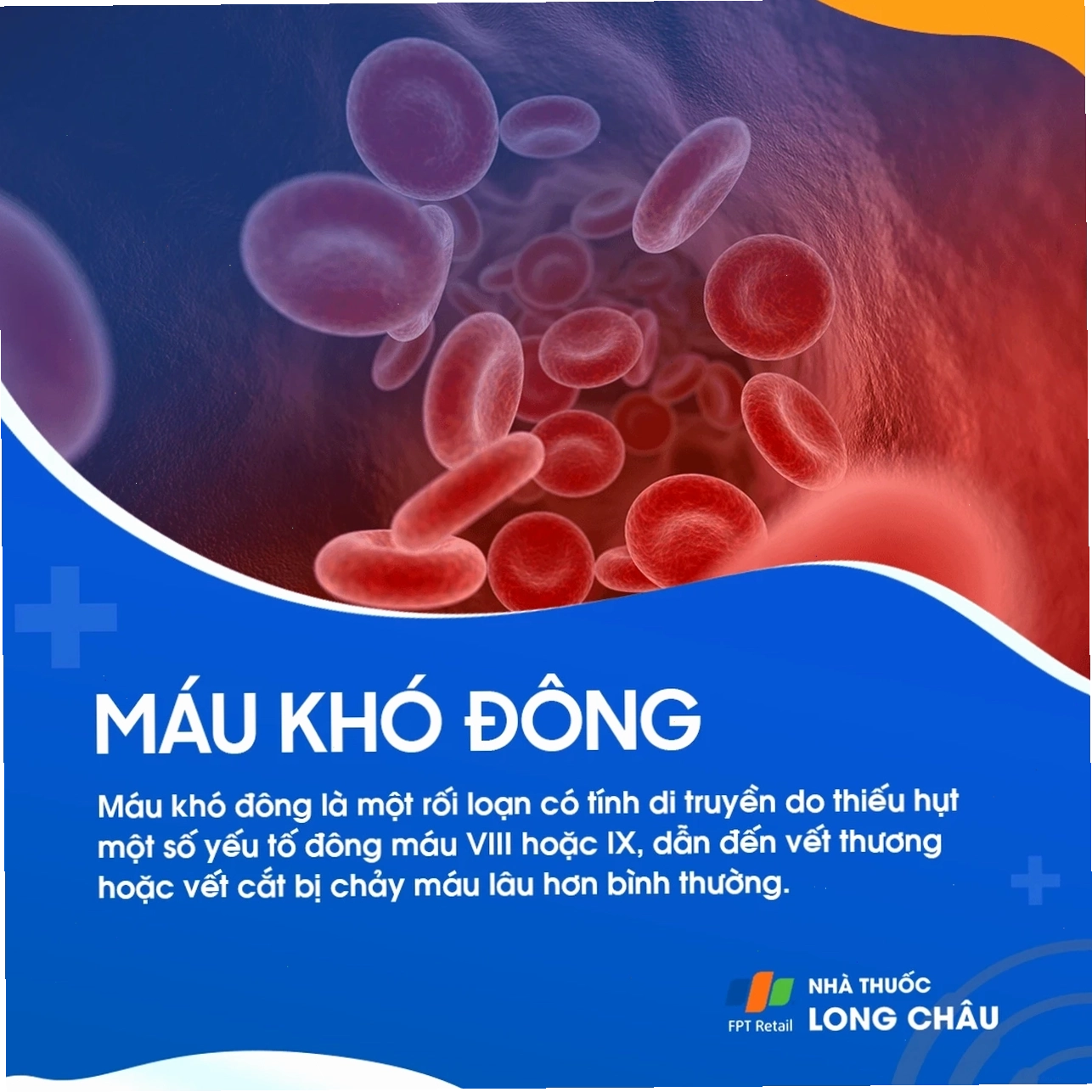 Thông tin bệnh máu khó đông