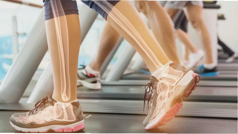 Thục địa giúp xương cốt chắc khoẻ hơn