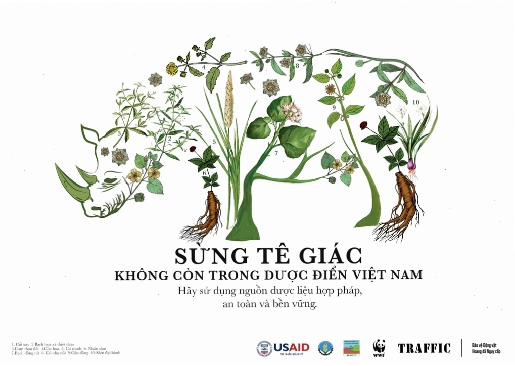 Thực hư sừng tê giác, vảy tê tê có thể chữa bách bệnh
