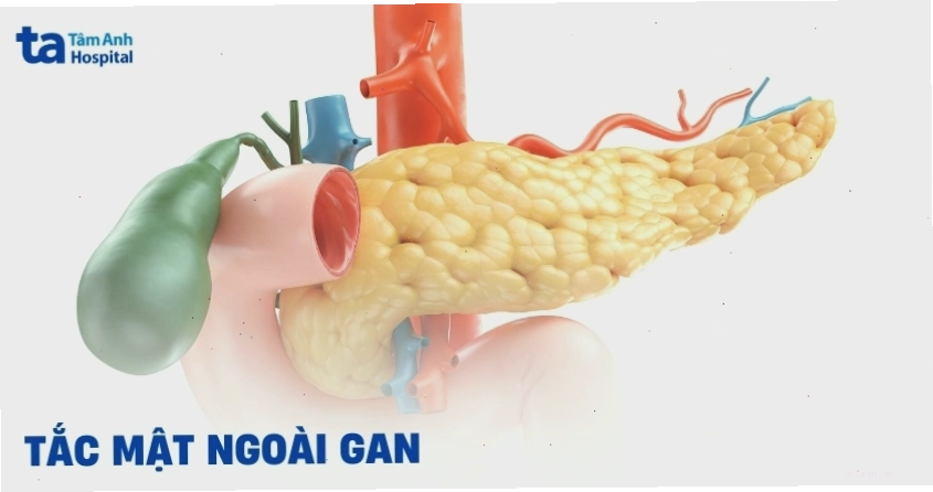 Thực phẩm dinh dưỡng cho bệnh nhân