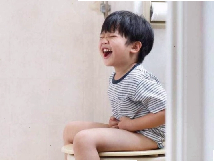 Thực phẩm dinh dưỡng hỗ trợ hệ tiêu hóa khỏe mạnh