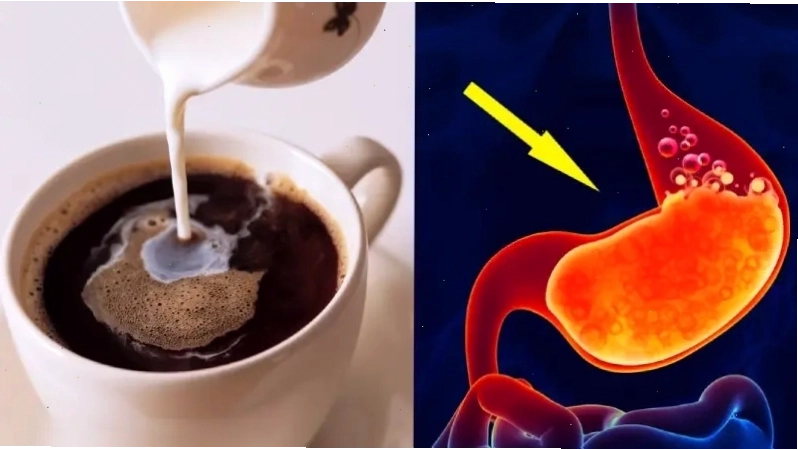 Thực phẩm nhuận tràng hỗ trợ tiêu hóa