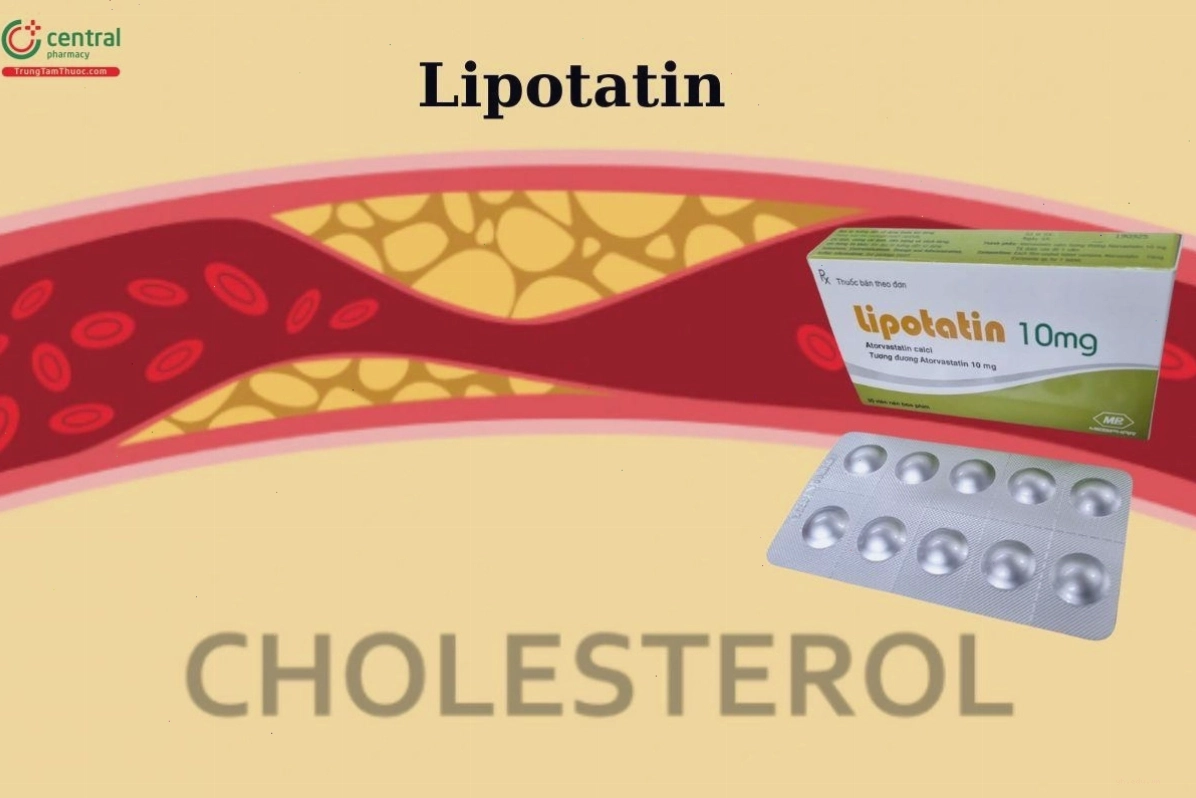 Thuốc Lipotatin điều trị tăng lipid máu