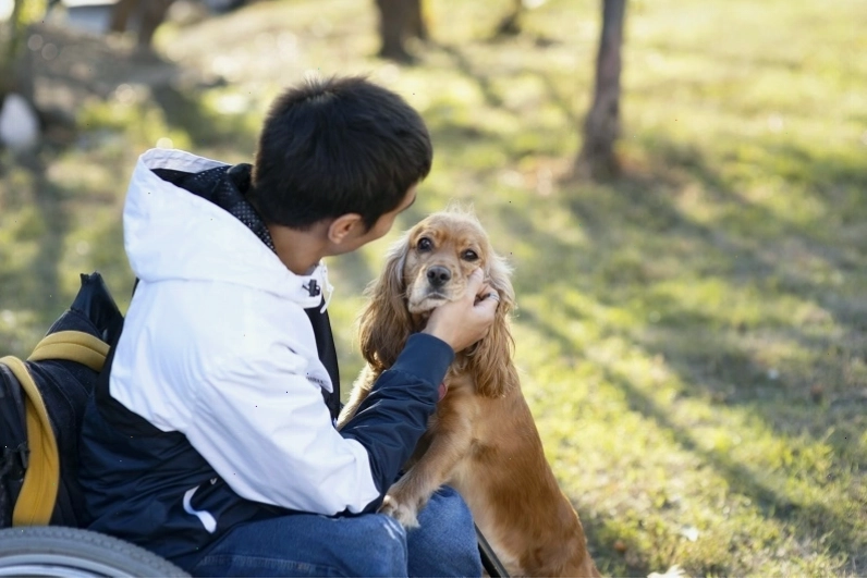 Tiếp xúc với chó mèo mang mầm bệnh giun đũa là con đường lây nhiễm trực tiếp