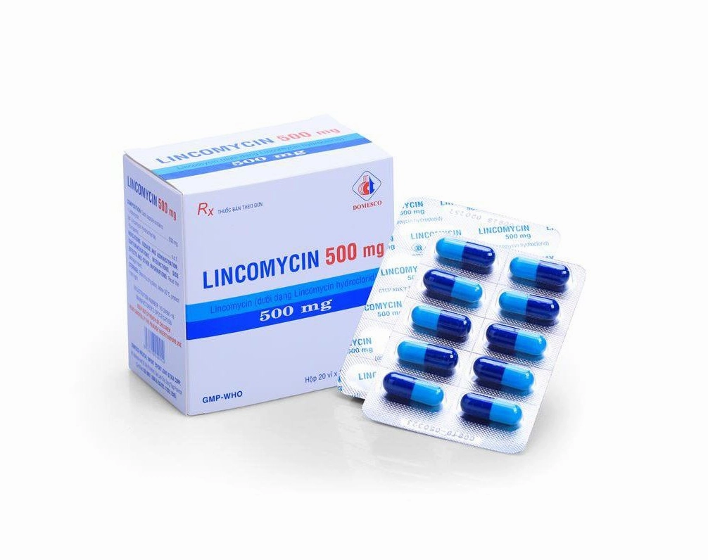 Tìm hiểu chi tiết lincomycin 500mg trị bệnh gì và lưu ý y khoa