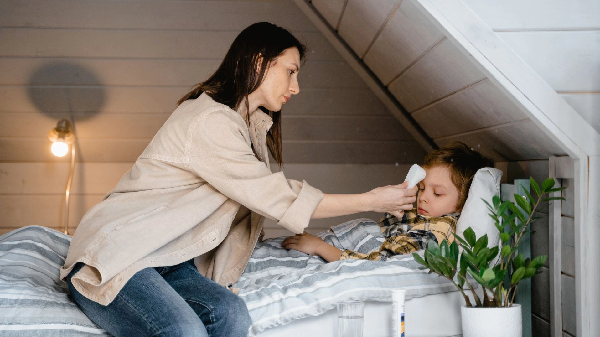 Tìm hiểu chi tiết yellow fever là bệnh gì và cách phòng ngừa