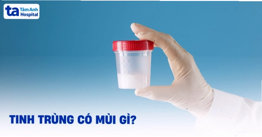 Tìm hiểu về mùi của tinh dịch