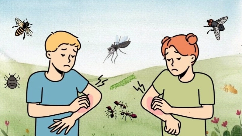 Tinh dầu nghệ trắng xua đuổi côn trùng