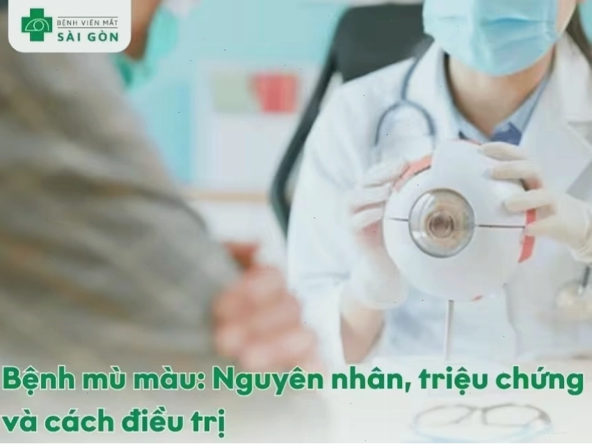 Tổng quan nguyên nhân và triệu chứng của tình trạng mù màu