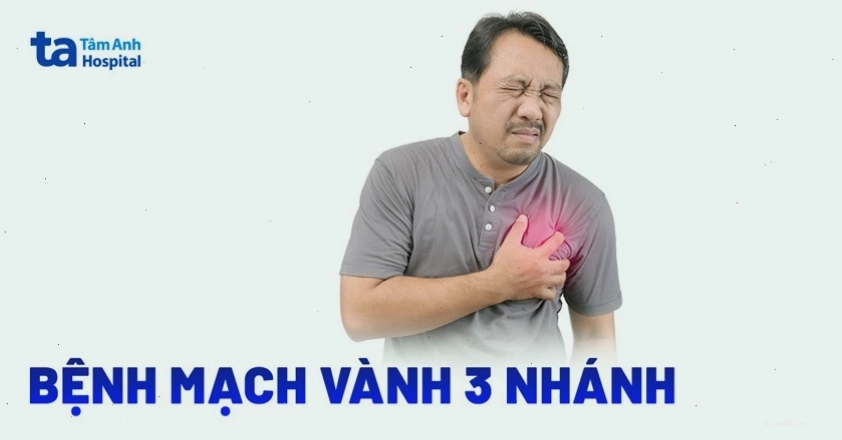 Tổng quan về bệnh mạch vành 3 nhánh