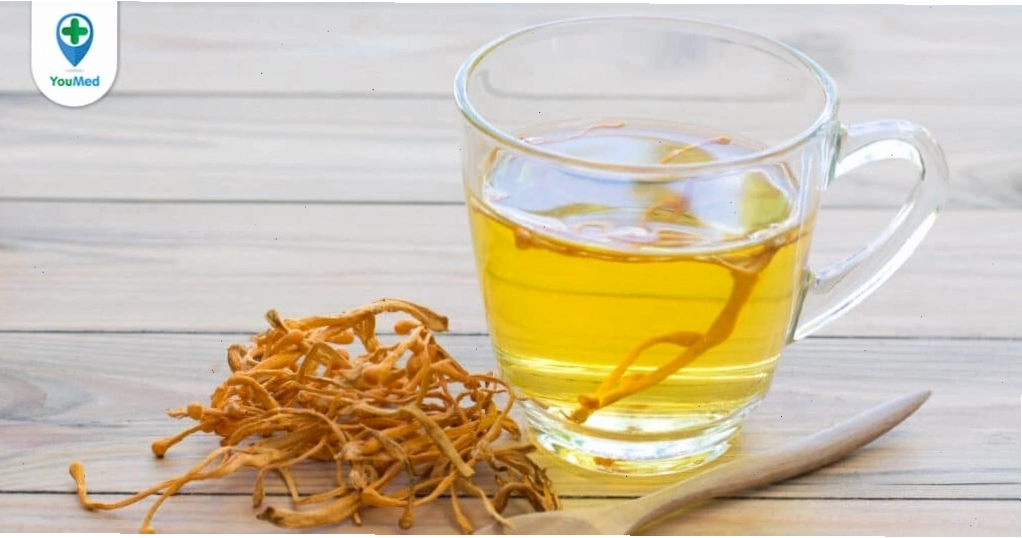 Trà đông trùng hạ thảo bổ dưỡng
