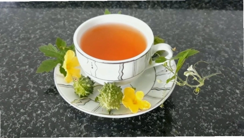 Trà khổ qua rừng khô