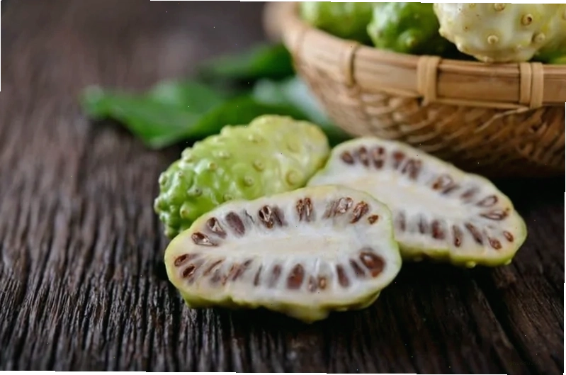 Trái nhàu tươi tự nhiên chứa nhiều hoạt chất quý