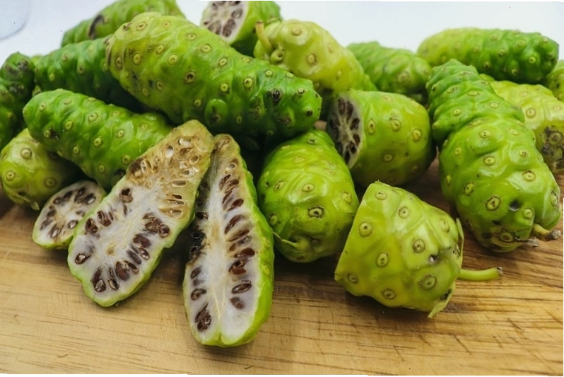 Trái nhàu vị thuốc quý trong thiên nhiên