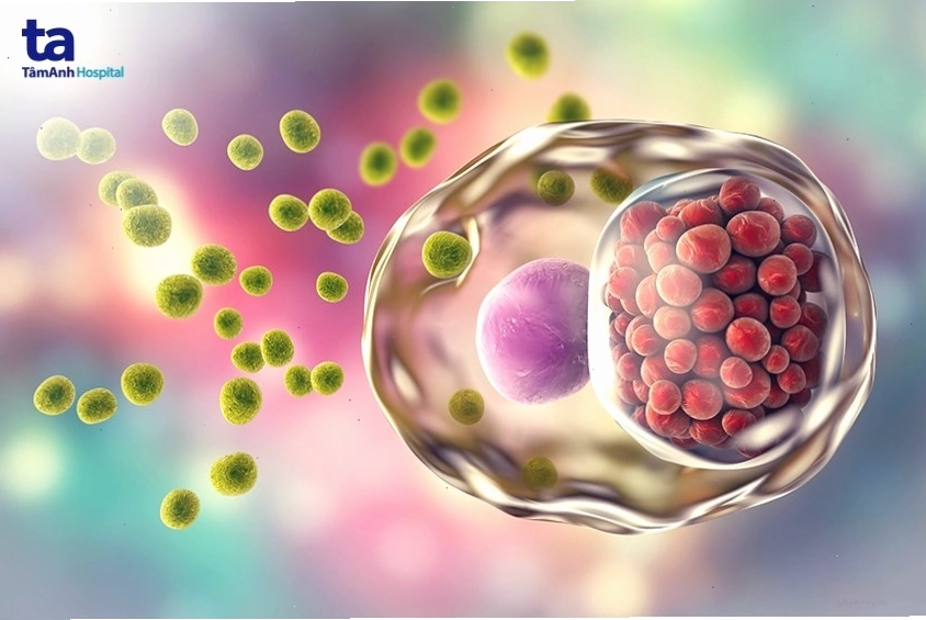 Triệu chứng bệnh Chlamydia