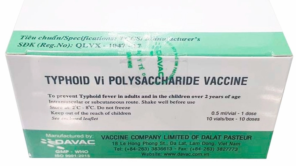 Typhoid là bệnh gì và những kiến thức quan trọng cần nắm vững