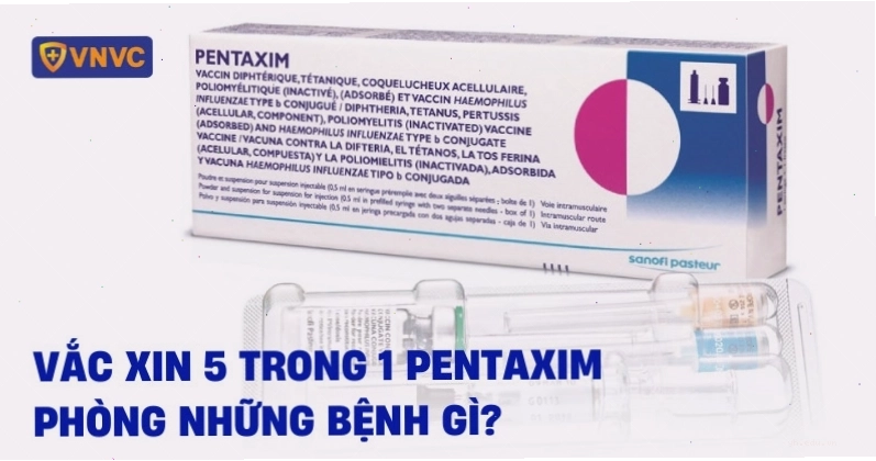 Vắc xin 5 trong 1 hiện nay