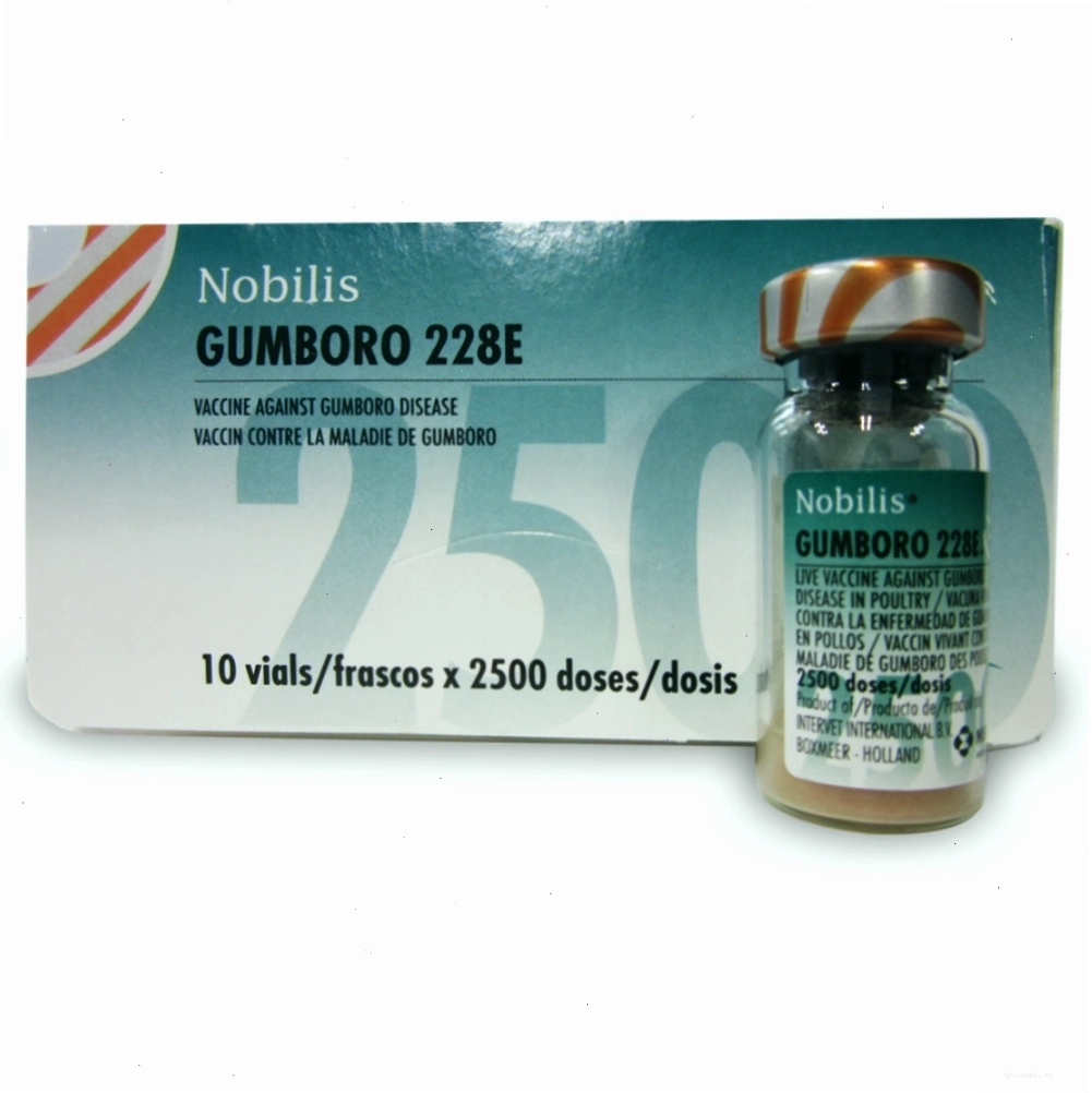 Vắc xin Gumboro 228E đóng gói chuẩn y tế