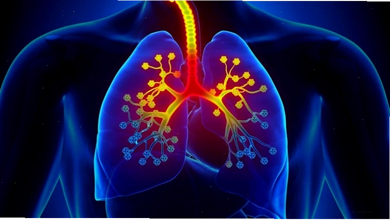 Vấn đề sức khỏe hô hấp