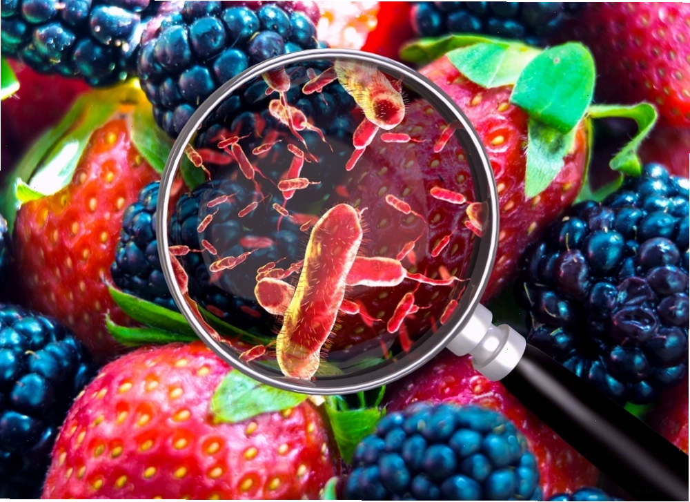 Vi khuẩn Bacillus cereus trong thực phẩm