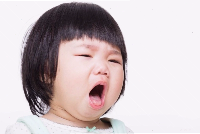 Vi khuẩn ho gà gây ra bệnh truyền nhiễm cấp tính đường hô hấp