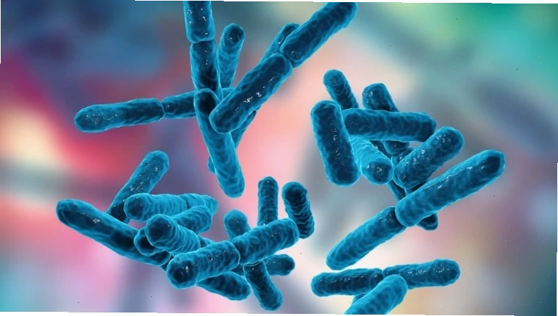 Vi khuẩn Listeria monocytogenes và những điều cần biết để bảo vệ sức khỏe