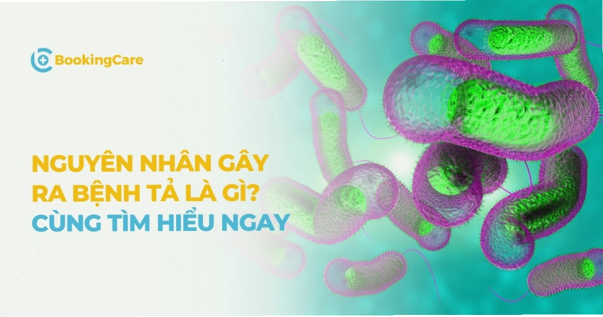 Vi khuẩn Vibrio cholerae dưới kính hiển vi
