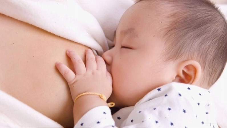 Vị thuốc xuyên sơn giáp có lợi ích gì?