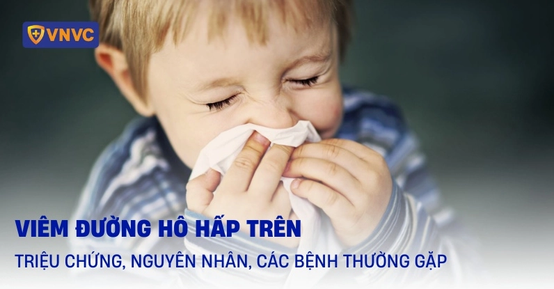 Viêm đường hô hấp trên gồm những bệnh gì và cách phòng ngừa hiệu quả