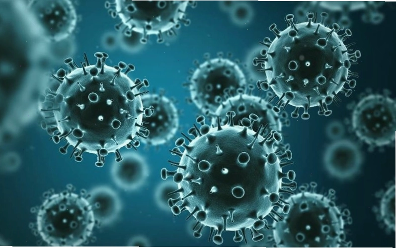 Virus Adeno là nguyên nhân chính gây viêm kết mạc