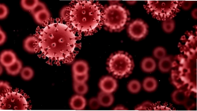 Virus HBV là gì và sống được bao lâu ngoài môi trường