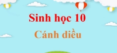 Virus khảm thuốc lá gây ra bệnh gì và những bí ẩn về tác nhân gây hại