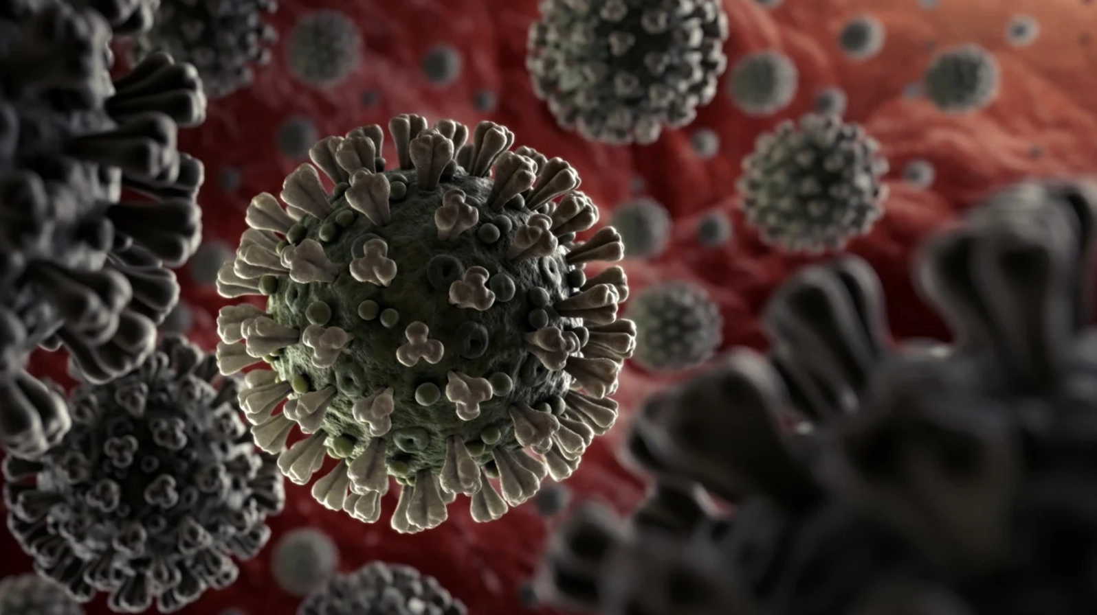 Virus SARS-CoV-2 gây ra bệnh gì và những thông tin y tế quan trọng