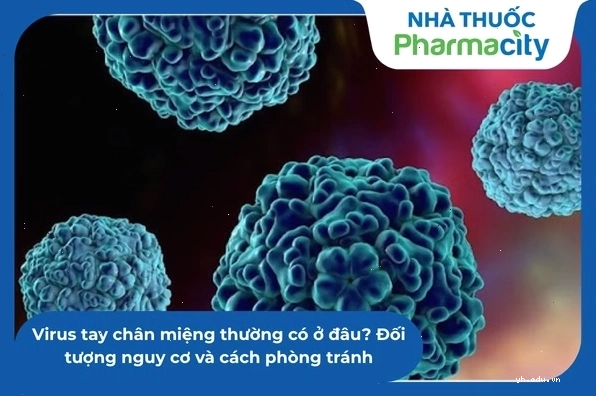 Virus tay chân miệng