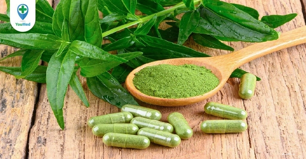 Xuyên tâm liên hỗ trợ kháng viêm